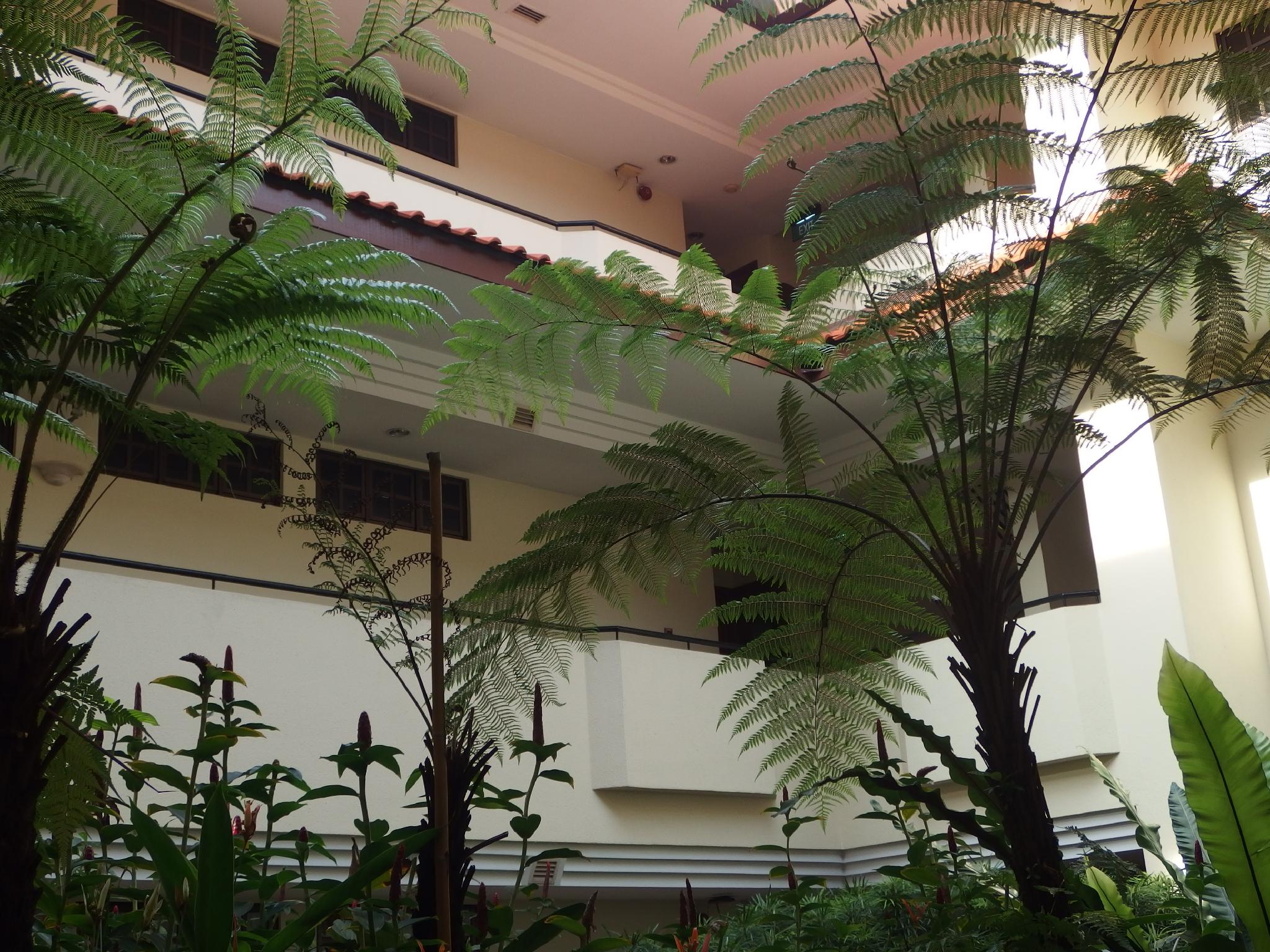 Alocassia Serviced Apartments hotel photo 4