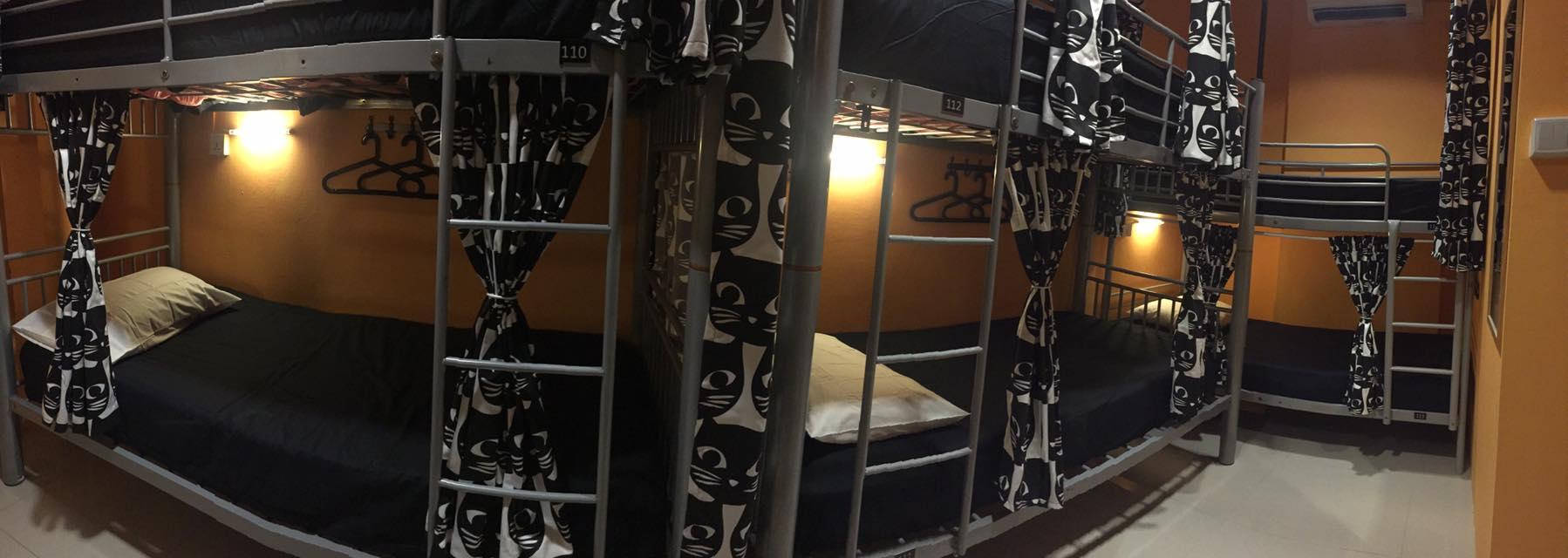 CSW Hostel hotel photo 4