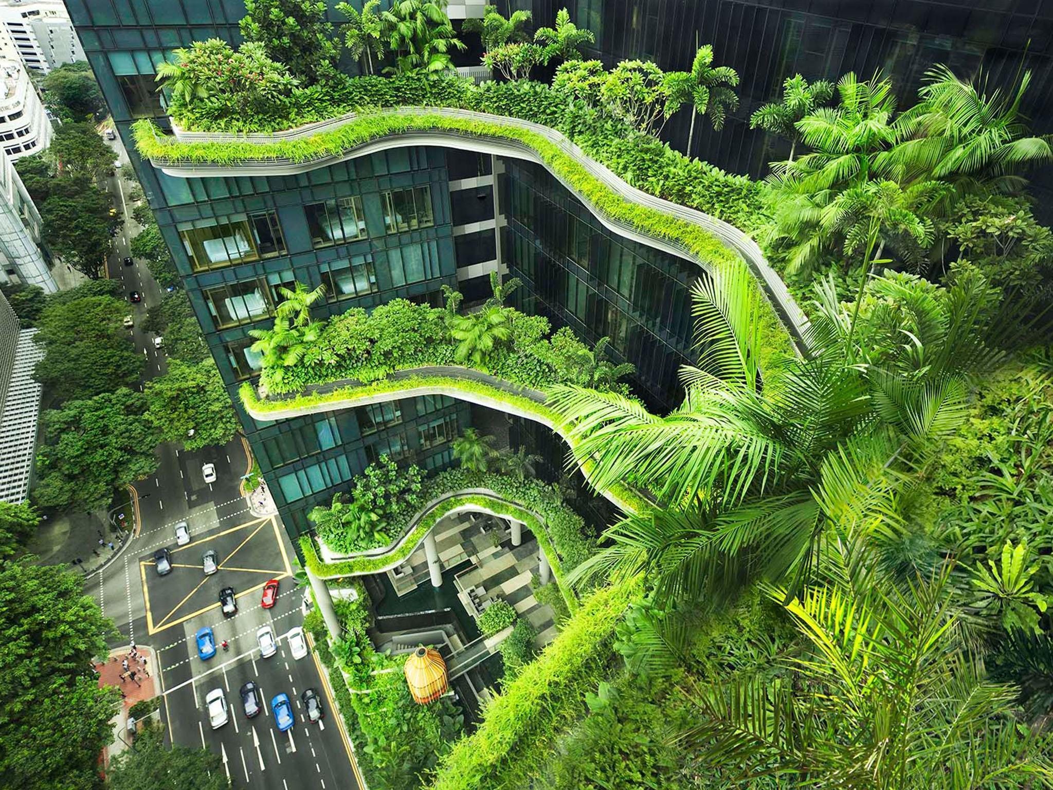 PARKROYAL COLLECTION Pickering, Singapore hotel photo 5