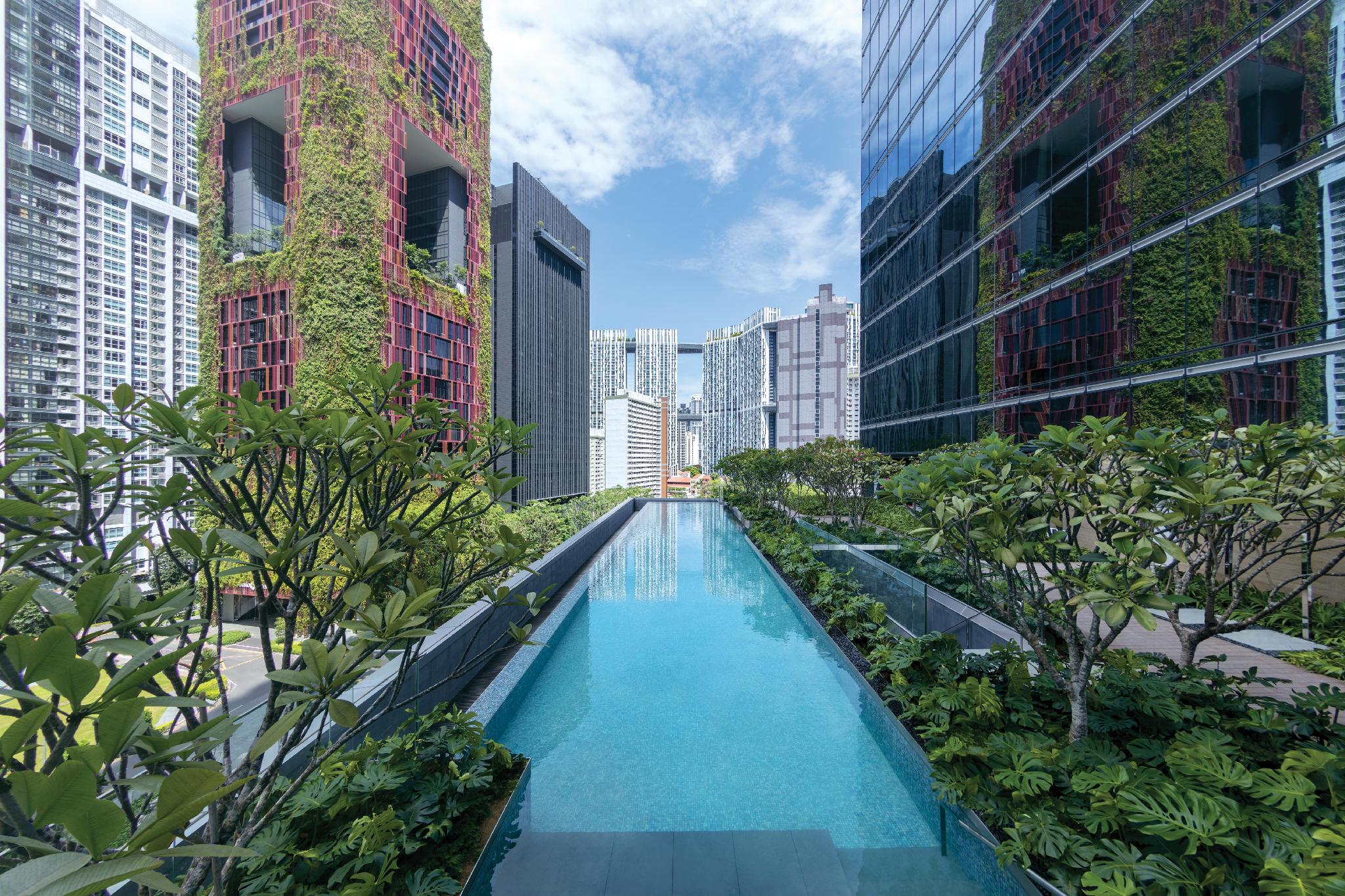 Sofitel Singapore City Centre Review: 5-Star Luxury and Convenience in Singapore